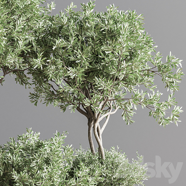 Indoor_Plant_Set_59 3DSMax File - thumbnail 4