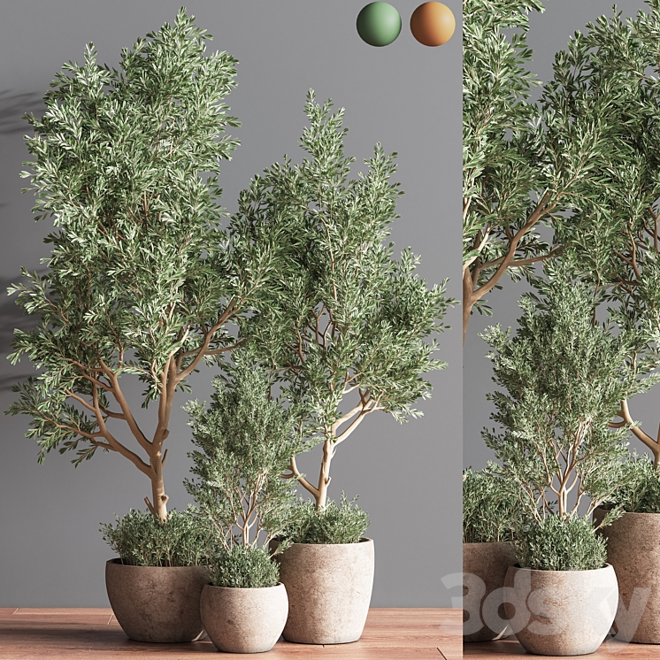 Indoor_Plant_Set_63 3DS Max Model - thumbnail 2