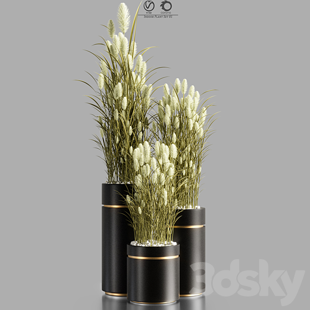 Indoor_Plant_Set_81 3ds Max - thumbnail 1