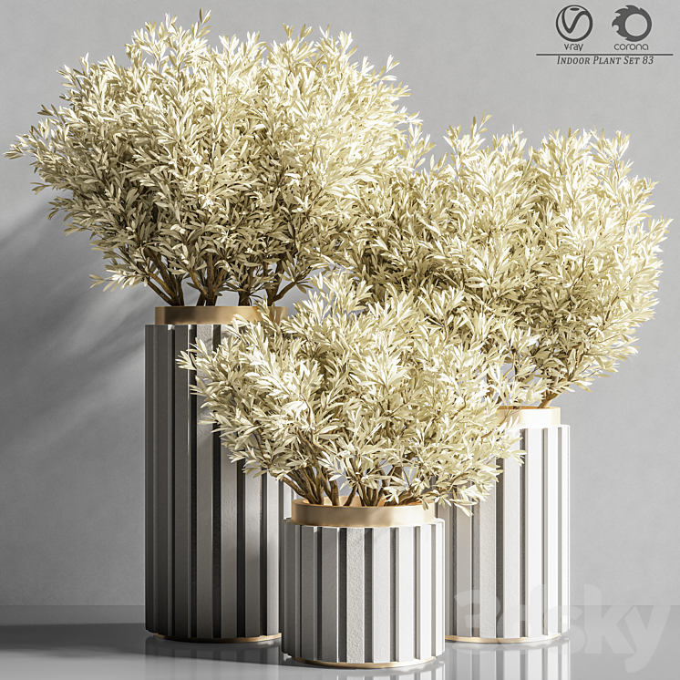 Indoor_Plant_Set_83 3DS Max Model - thumbnail 1