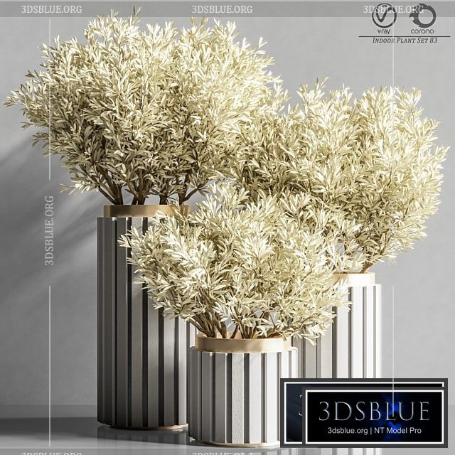 Indoor_Plant_Set_83 3DS Max - thumbnail 3