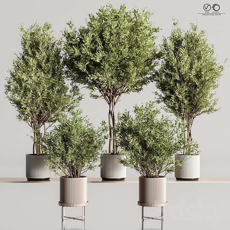 Indoor_Plant_Set_85 3DS Max - thumbnail 1