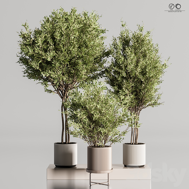 Indoor_Plant_Set_85 3DS Max - thumbnail 2