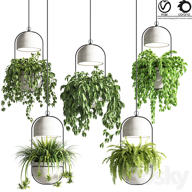 indoor_plants_hanging_pot_concrete_vase_02 3DS Max - thumbnail 1