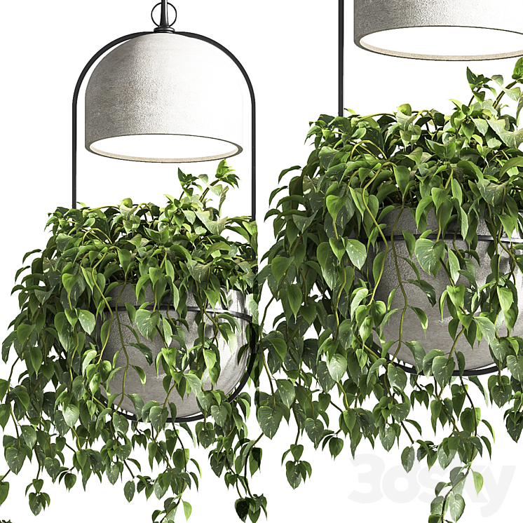 indoor_plants_hanging_pot_concrete_vase_02 3DS Max - thumbnail 2