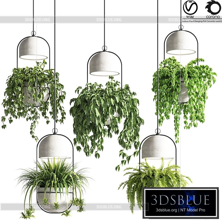 indoor_plants_hanging_pot_concrete_vase_02 3DS Max - thumbnail 3