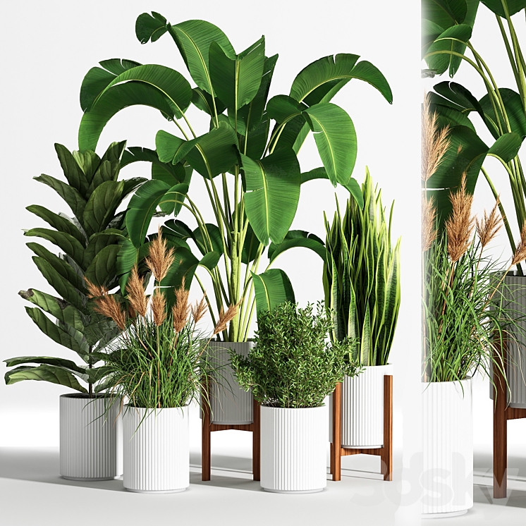 IndoorSetPlant05 3DS Max Model - thumbnail 1