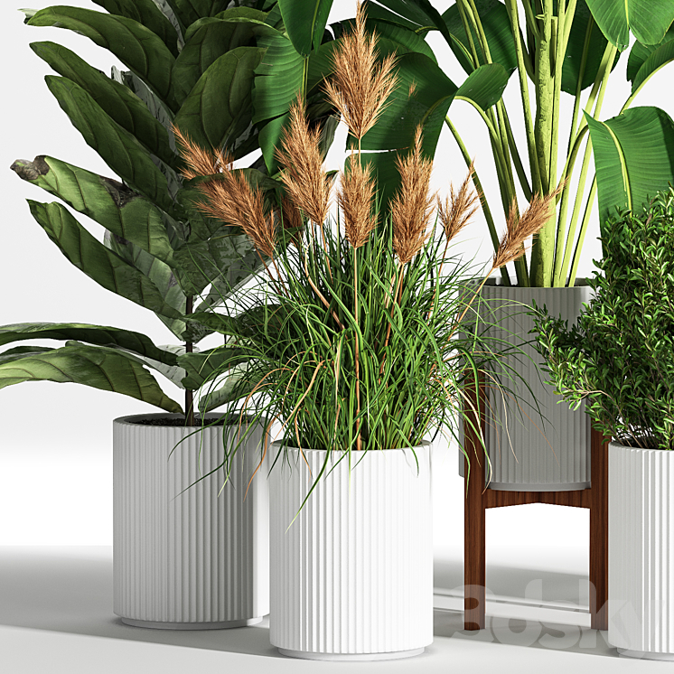 IndoorSetPlant05 3DS Max Model - thumbnail 2