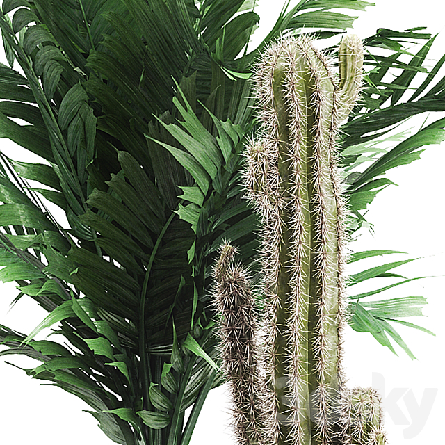 INTERIOR FLOWER PACK 20 – CACTUS. Part 4 3DS Max Model - thumbnail 3