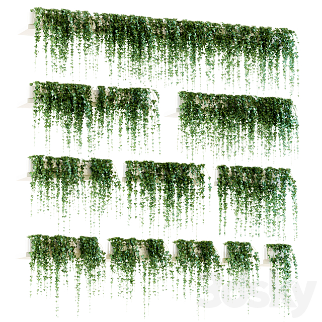 Ivy for shelves. 11 models 3DSMax File - thumbnail 1