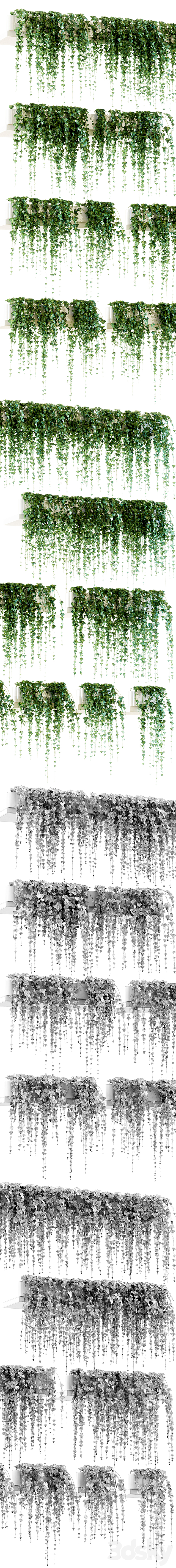 Ivy for shelves. 11 models 3DSMax File - thumbnail 2