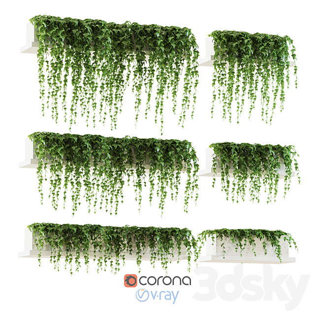 Ivy for shelves 3DSMax File - thumbnail 1