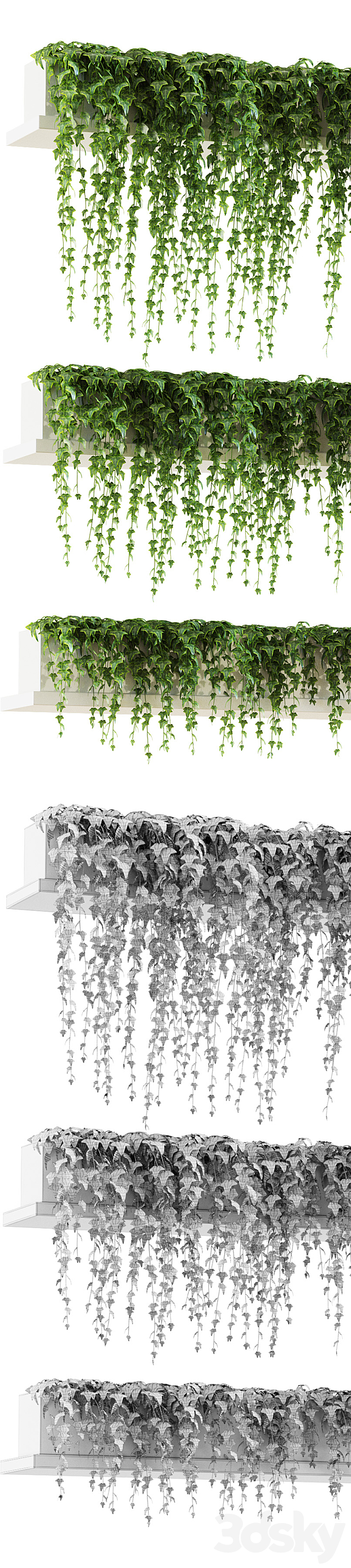 Ivy for shelves 3DSMax File - thumbnail 2