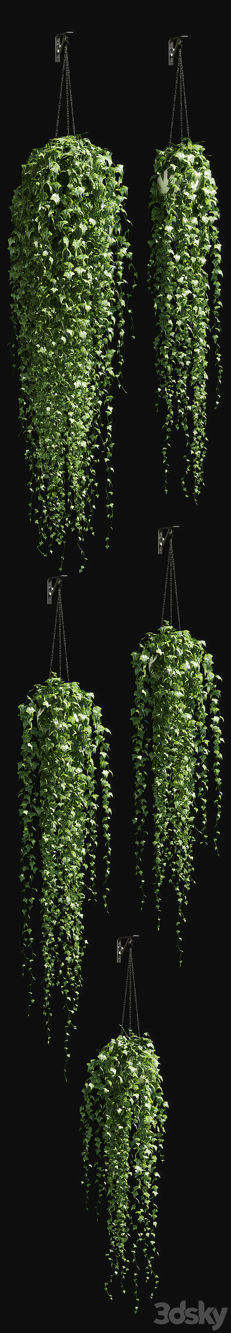 Ivy in a pot on the chain v3 3DS Max - thumbnail 2