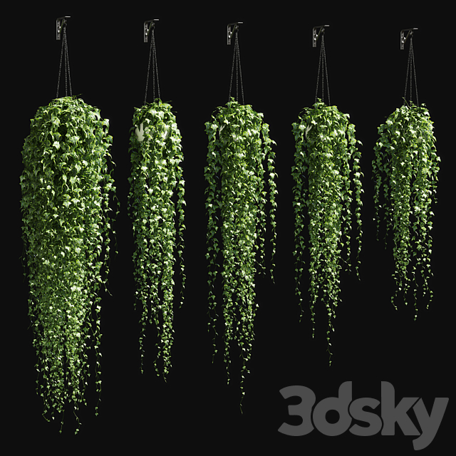 Ivy in a pot on the chain v3 3DSMax File - thumbnail 1