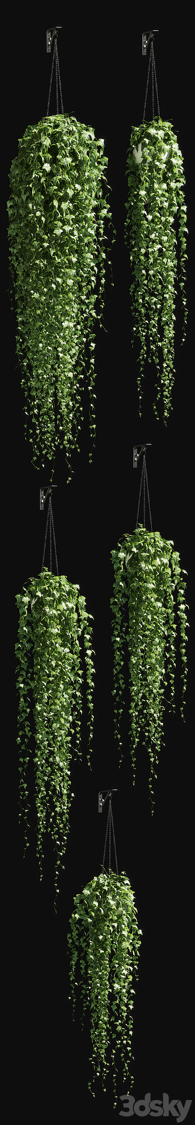 Ivy in a pot on the chain v3 3DSMax File - thumbnail 2