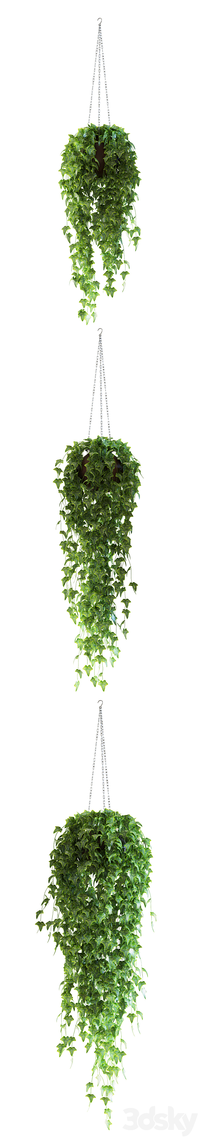 Ivy in a pot on the circuit 3DSMax File - thumbnail 2