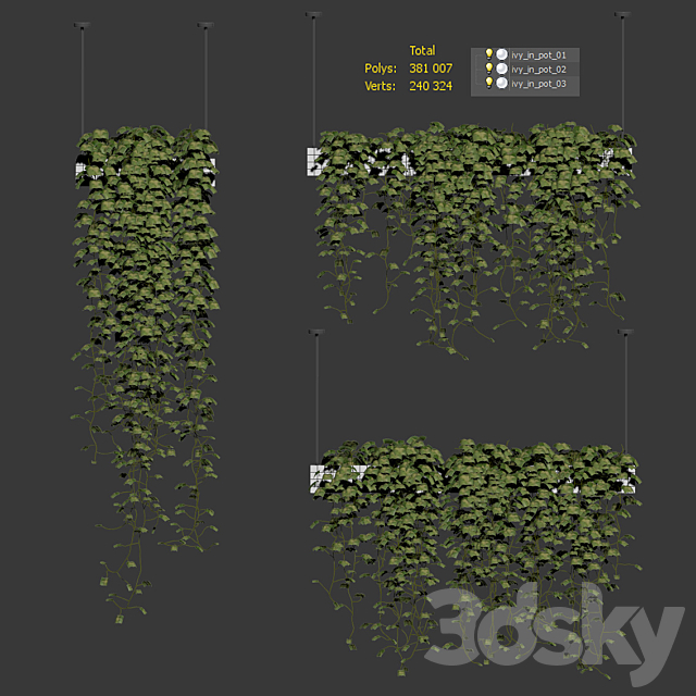 Ivy in hanging pots. 3 models 3DSMax File - thumbnail 3