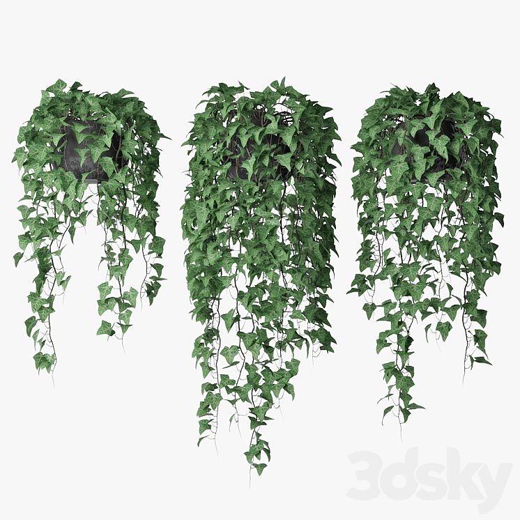 Ivy in pot 09 3DS Max - thumbnail 1