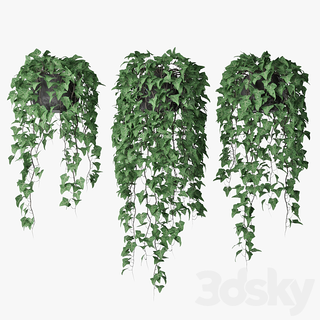 Ivy in pot 09 3DSMax File - thumbnail 1