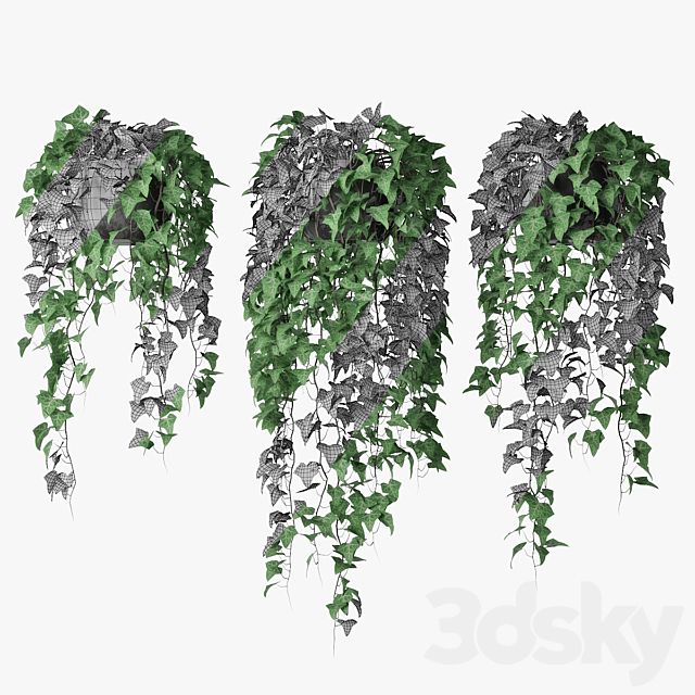 Ivy in pot 09 3DSMax File - thumbnail 3