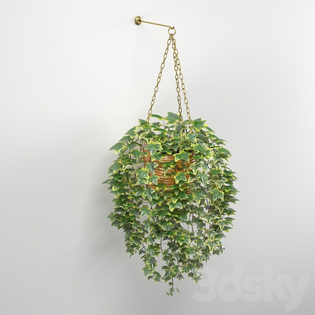 Ivy in pot 3DSMax File - thumbnail 3