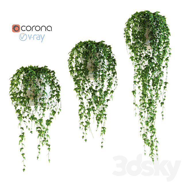 Ivy on a shelf in a pot 3DSMax File - thumbnail 1