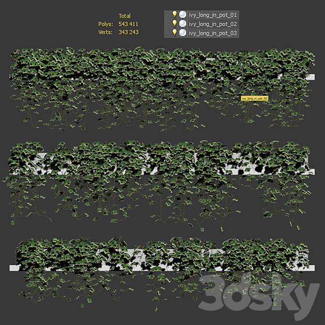 Ivy on long shelves. 3 models 3DS Max Model - thumbnail 3