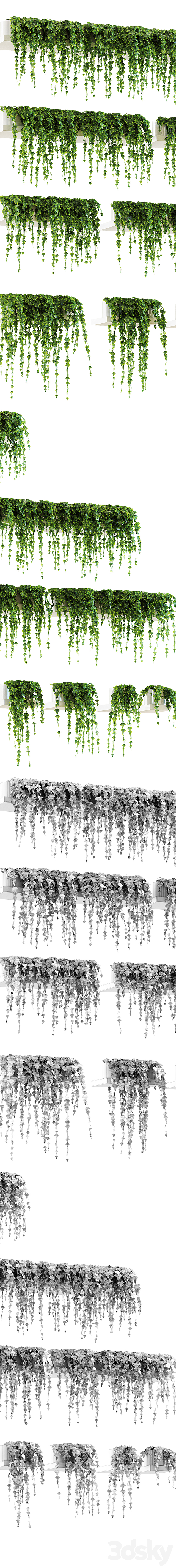 Ivy shelf. 12 models 3DS Max Model - thumbnail 2