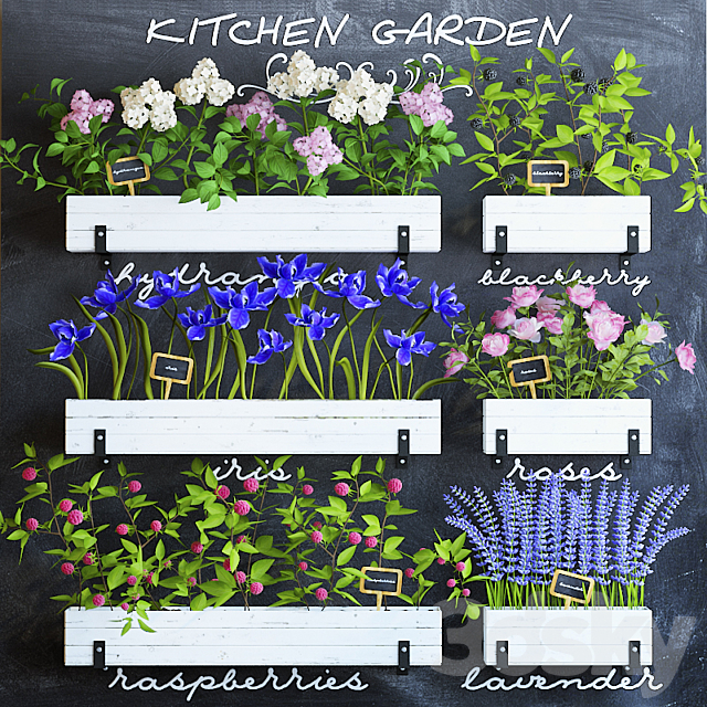 Kitchen garden 5 3DSMax File - thumbnail 1