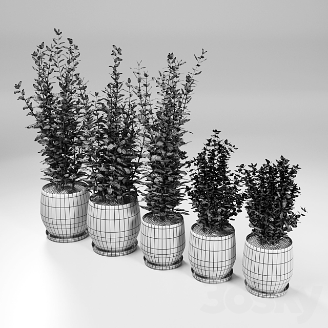 Kitchen Plant – Campana Gray Planters 3DSMax File - thumbnail 3