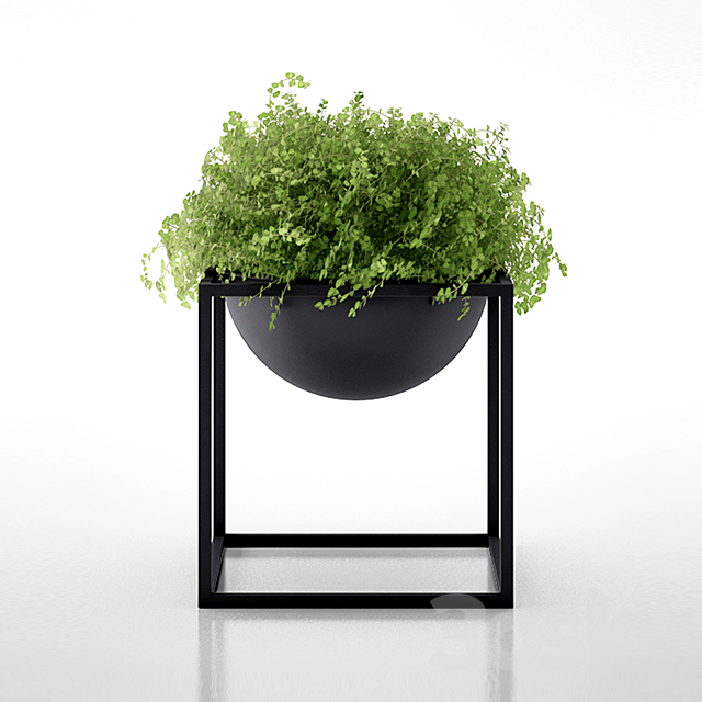 Kubus Black Bowl with clover by Lassen 3DSMax File - thumbnail 1