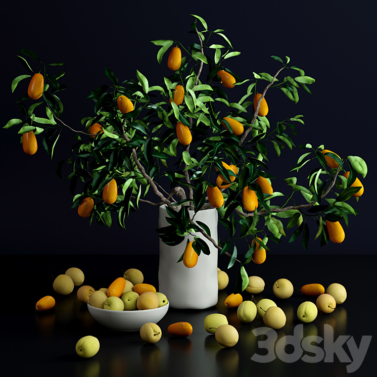 Kumquat and plums 3DS Max - thumbnail 1