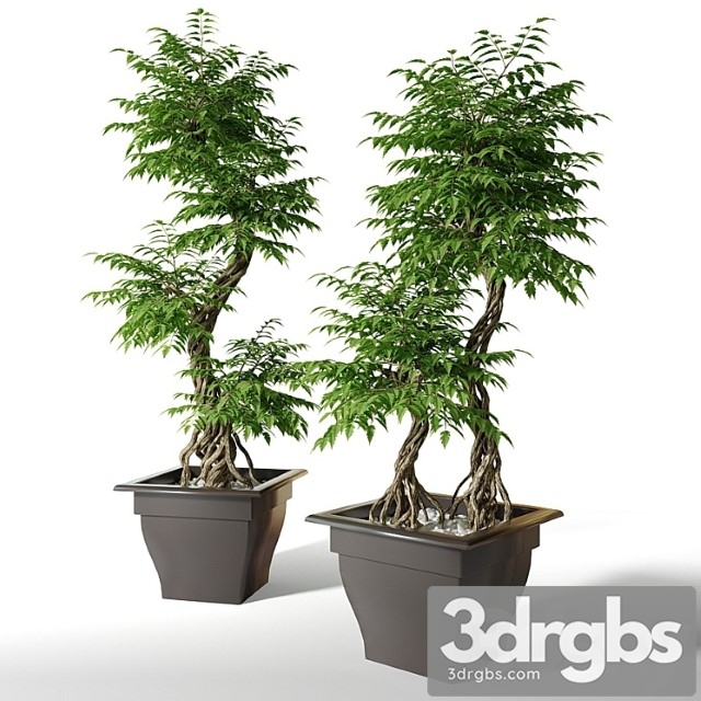 Large artificial tree fruticosa - thumbnail 1