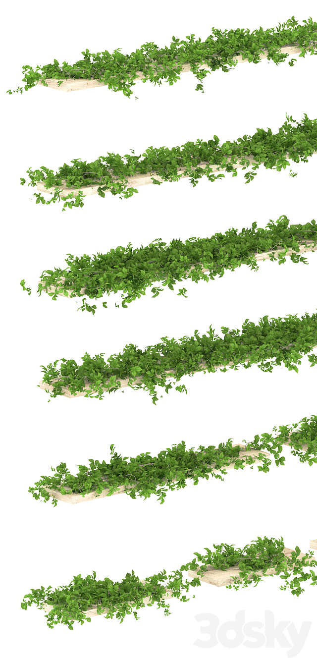 Leaves shelf. 13 species 3DSMax File - thumbnail 2