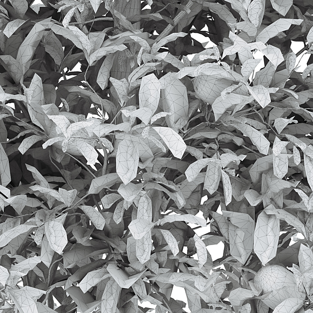 lemon bushes 3DS Max Model - thumbnail 3