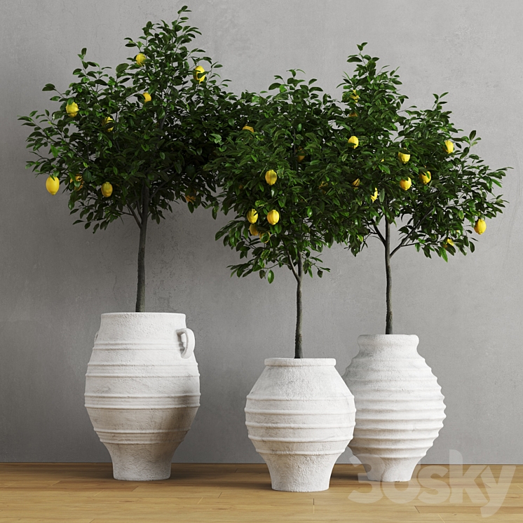 Lemons in clay pots 3DS Max - thumbnail 1