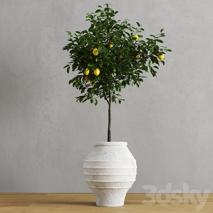 Lemons in clay pots 3DS Max - thumbnail 2