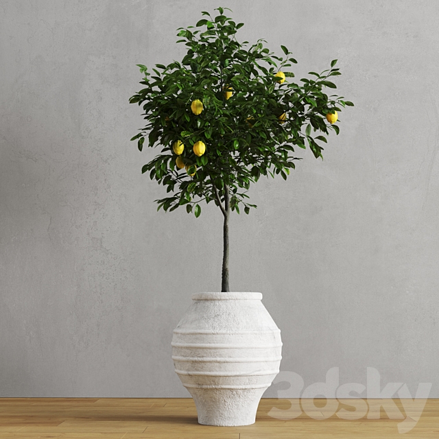 Lemons in clay pots 3DSMax File - thumbnail 2