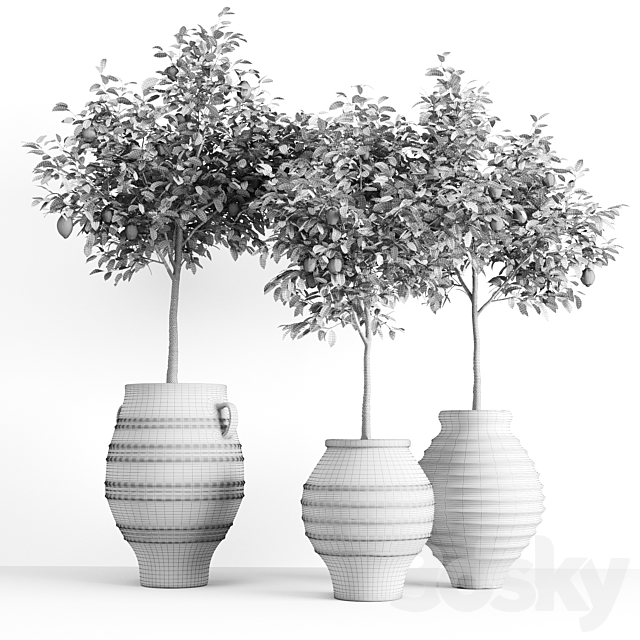 Lemons in clay pots 3DSMax File - thumbnail 5