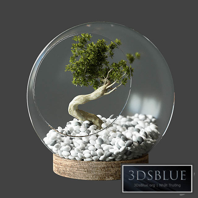 Little Tree In Glass Globe 3DS Max - thumbnail 3