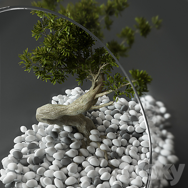 Little Tree In Glass Globe 3DSMax File - thumbnail 3