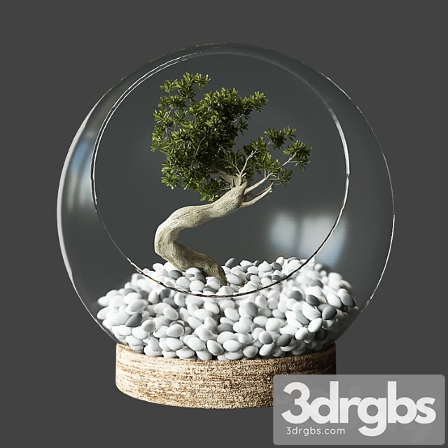 Little tree in glass globe - thumbnail 1