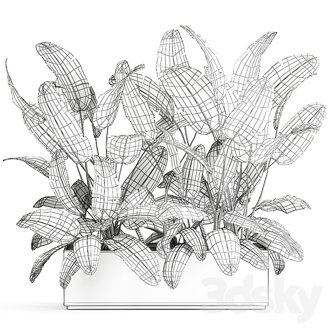 Lush exotic thickets of bushes banana palm ravenala. Strelitzia in a metal pot flowerbed. 866. 3DSMax File - thumbnail 5