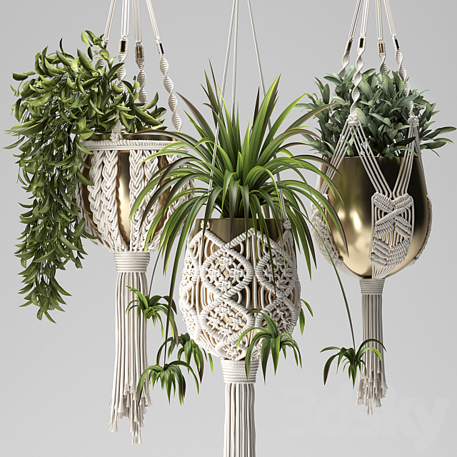 Macrame Plant Hangers 3ds Max - thumbnail 1