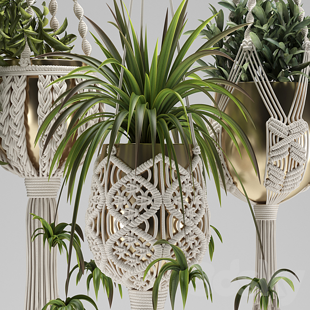 Macrame Plant Hangers 3ds Max - thumbnail 2