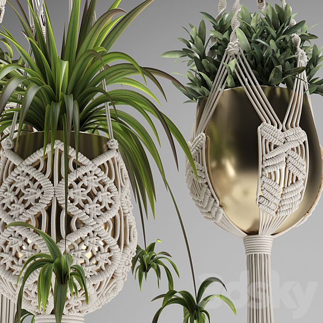 Macrame Plant Hangers 3ds Max - thumbnail 3