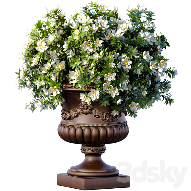 Magnolia flowers Bouquet in a classic vase pot flowerpot for decoration.Indoor interior Plant 3ds Max - thumbnail 1