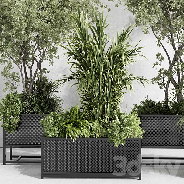 metal box plants on stand – set indoor plant 425 3DS Max Model - thumbnail 2