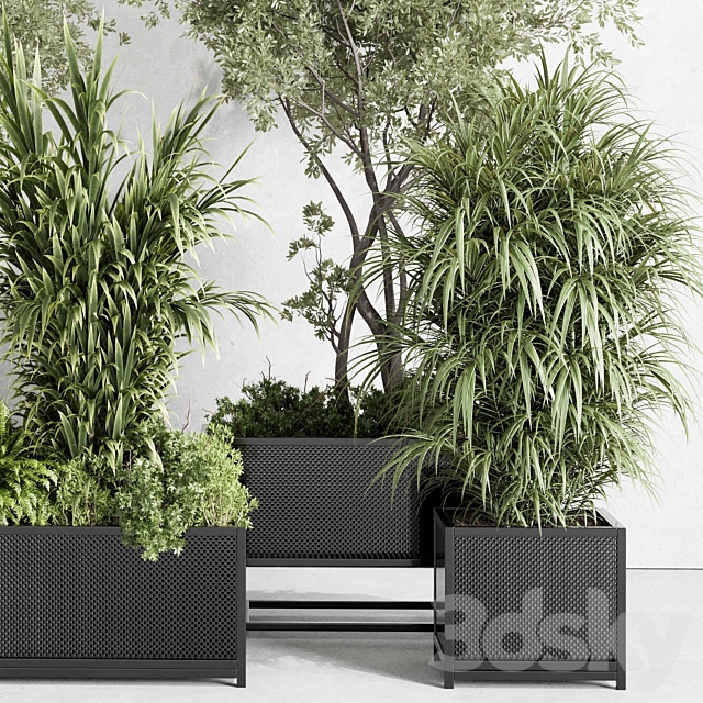 metal box plants on stand – set indoor plant 425 3DS Max Model - thumbnail 3